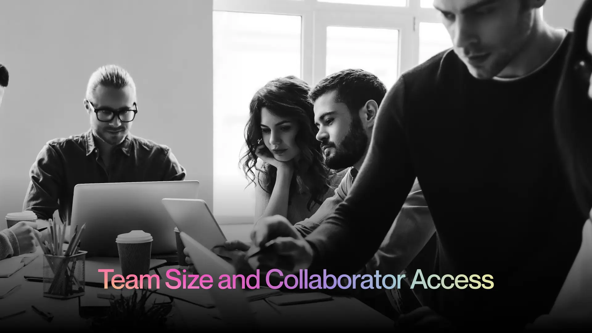 3. Team Size and Collaborator Access 3. Team Size and Collaborator Access